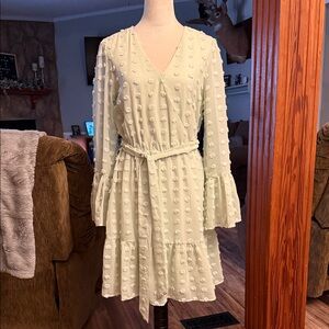 Chic Cream Long Sleeve Dress with Belt